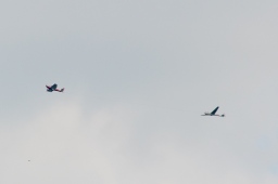 schwaiganger-2013_cic2-008-jpg