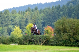 schwaiganger-2013_cic2-025-jpg