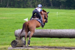 schwaiganger-2013_cic2-036-jpg