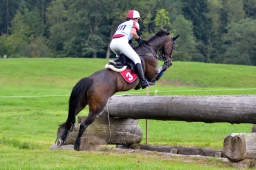 schwaiganger-2013_cic2-039-jpg