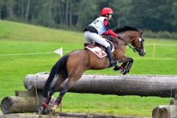 schwaiganger-2013_cic2-044-jpg