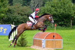 schwaiganger-2013_cic2-048-jpg