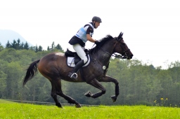 schwaiganger-2013_cic2-061-jpg