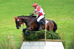 schwaiganger-2013_cic2-070-jpg