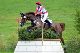 schwaiganger-2013_cic2-074-jpg