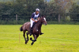 schwaiganger-2013_cic2-079-jpg