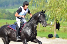 schwaiganger-2013_cic2-109-jpg