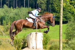 schwaiganger-2013_cic2-111-jpg
