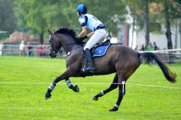 schwaiganger-2013_cic2-118-jpg
