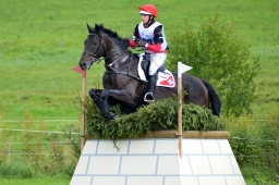 schwaiganger-2013_cic2-135-jpg