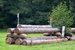 sickendorf-2014_vl-002-jpg