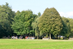 sickendorf-2014_vl-266-jpg