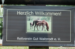 waitzrodt-2010_cdv-cup-002-jpg