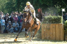 wiesbaden-2009_cic3-009-jpg