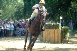 wiesbaden-2009_cic3-010-jpg