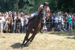 wiesbaden-2009_cic3-058-jpg