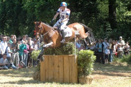 wiesbaden-2009_cic3-060-jpg