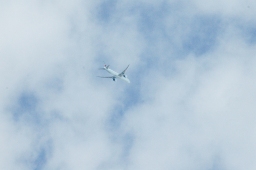 wiesbaden-2011_cic3-020-jpg