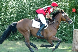 wiesbaden-2011_cic3-055-jpg