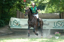 wiesbaden-2011_cic3-058-jpg