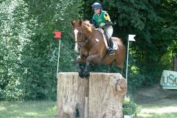 wiesbaden-2011_cic3-066-jpg