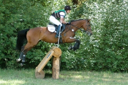 wiesbaden-2011_cic3-070-jpg