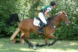 wiesbaden-2011_cic3-072-jpg