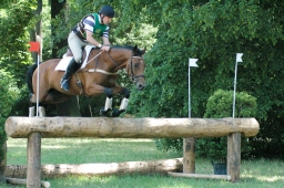 wiesbaden-2011_cic3-077-jpg