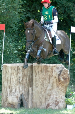 wiesbaden-2011_cic3-080-jpg