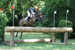 wiesbaden-2011_cic3-082-jpg