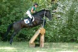 wiesbaden-2011_cic3-084-jpg