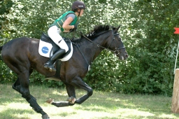 wiesbaden-2011_cic3-086-jpg