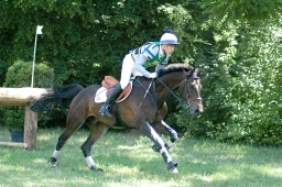 wiesbaden-2011_cic3-099-jpg