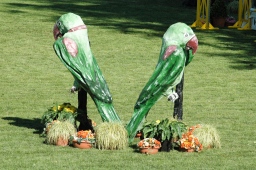 wiesbaden-2012_cic3-057-jpg