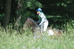 wiesbaden-2012_cic3-070-jpg