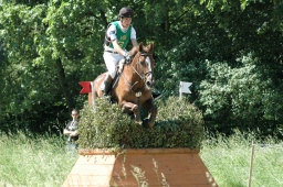 wiesbaden-2012_cic3-076-jpg