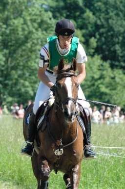 wiesbaden-2012_cic3-079-jpg