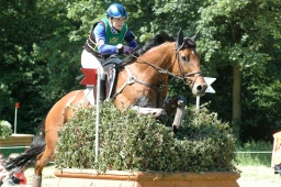 wiesbaden-2012_cic3-083-jpg