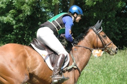 wiesbaden-2012_cic3-084-jpg