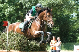 wiesbaden-2012_cic3-088-jpg