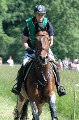 wiesbaden-2012_cic3-089-jpg