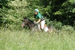 wiesbaden-2012_cic3-094-jpg