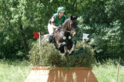 wiesbaden-2012_cic3-096-jpg