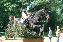 wiesbaden-2012_cic3-097-jpg
