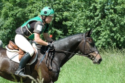 wiesbaden-2012_cic3-098-jpg