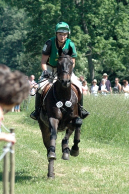 wiesbaden-2012_cic3-099-jpg