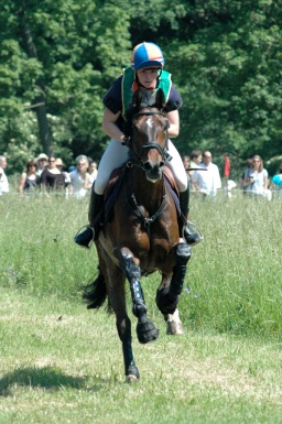 wiesbaden-2012_cic3-108-jpg