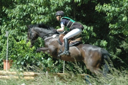 wiesbaden-2012_cic3-132-jpg