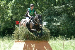 wiesbaden-2012_cic3-134-jpg