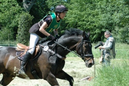 wiesbaden-2012_cic3-135-jpg
